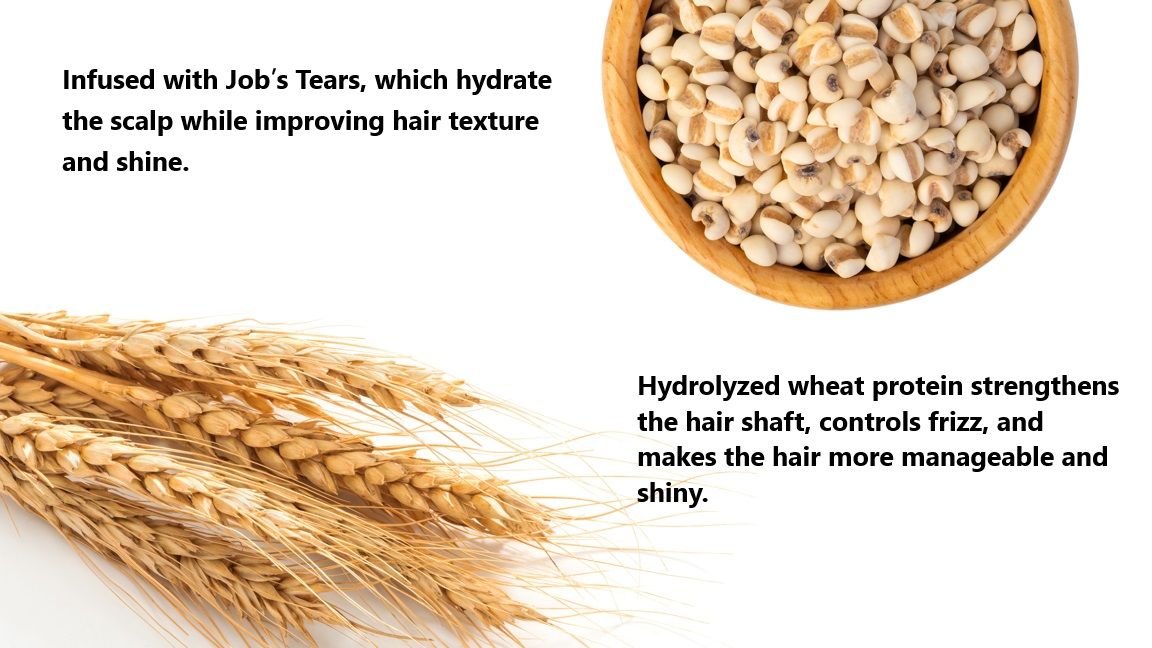 Infundido com lágrimas de Jó, que hidratam o couro cabeludo enquanto melhoram a textura e o brilho do cabelo, e proteína de trigo hidrolisada, que fortalece o fio de cabelo, controla o frizz e torna o cabelo mais manejável e brilhante.